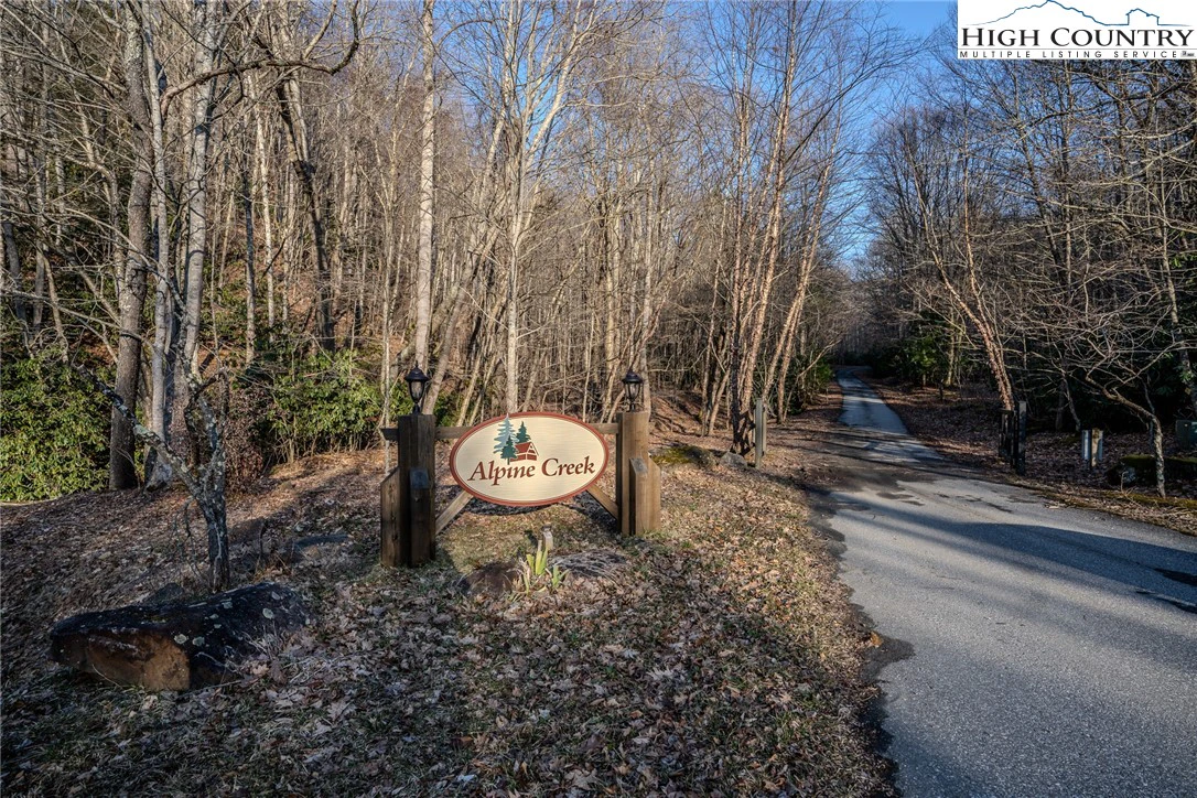Image number 1 for the current listing