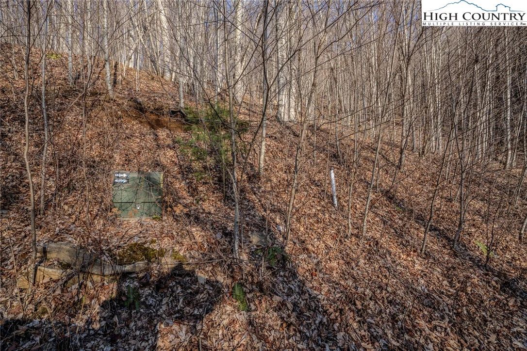 Image number 14 for the current listing