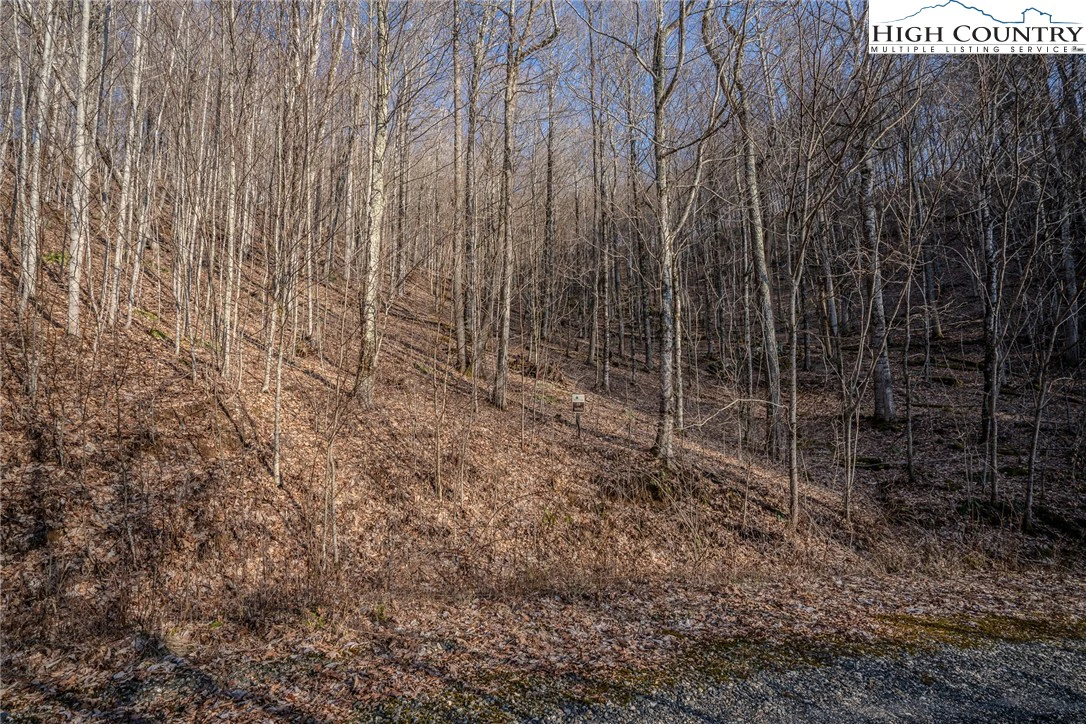 Image number 12 for the current listing