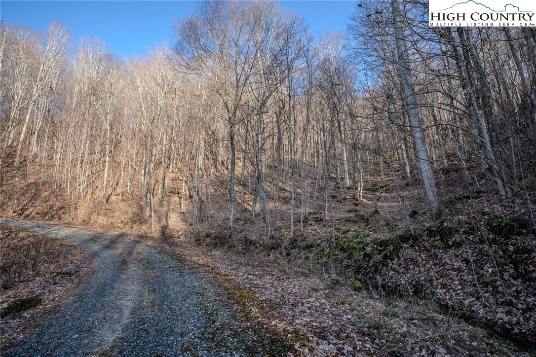 Image number 2 for the current listing