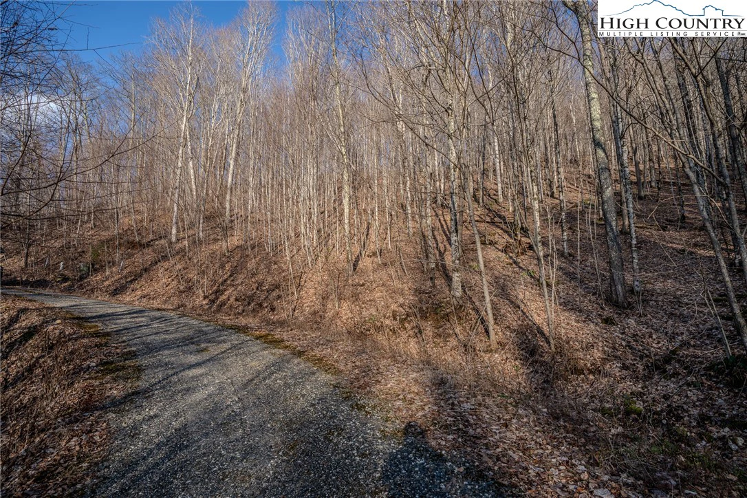 Image number 8 for the current listing