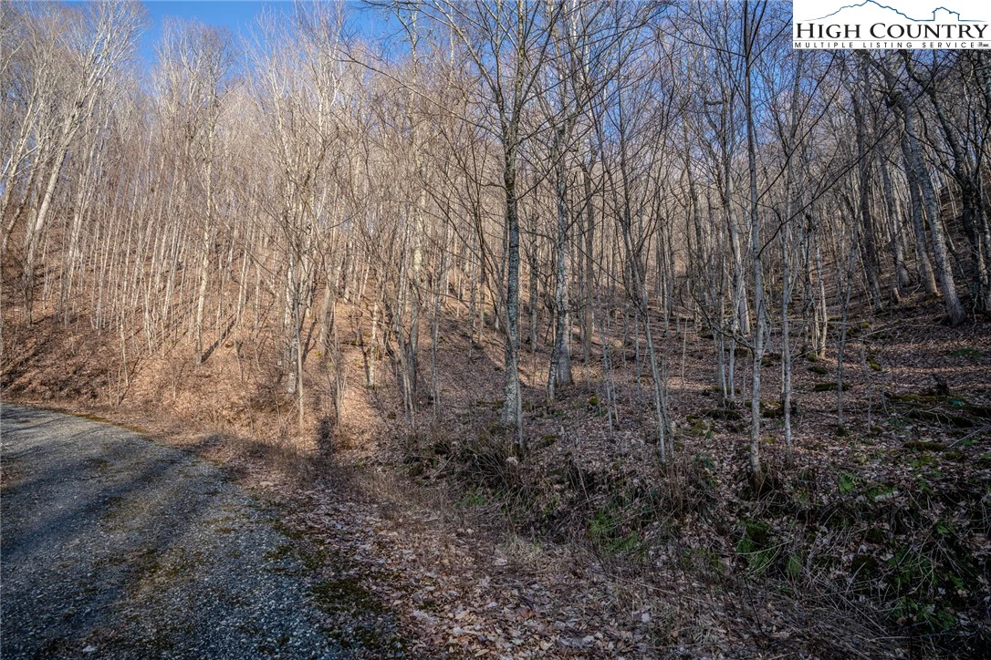 Image number 7 for the current listing