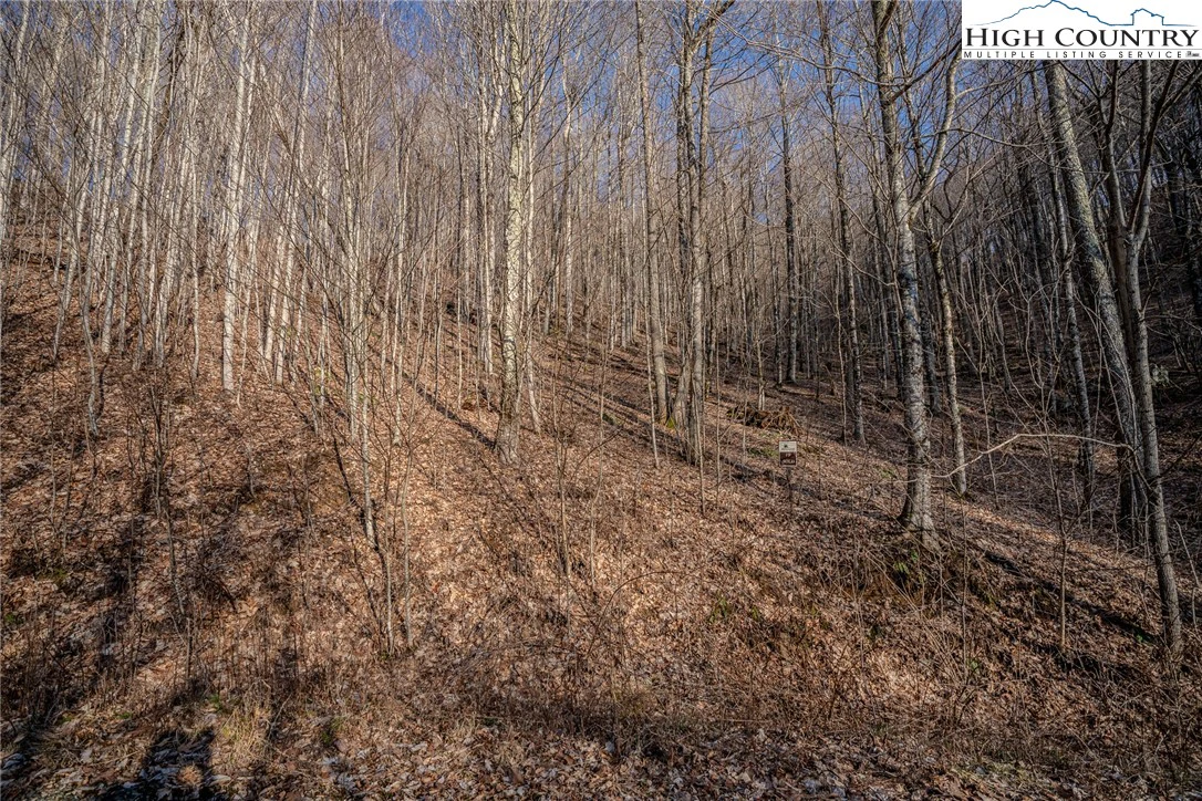 Image number 5 for the current listing