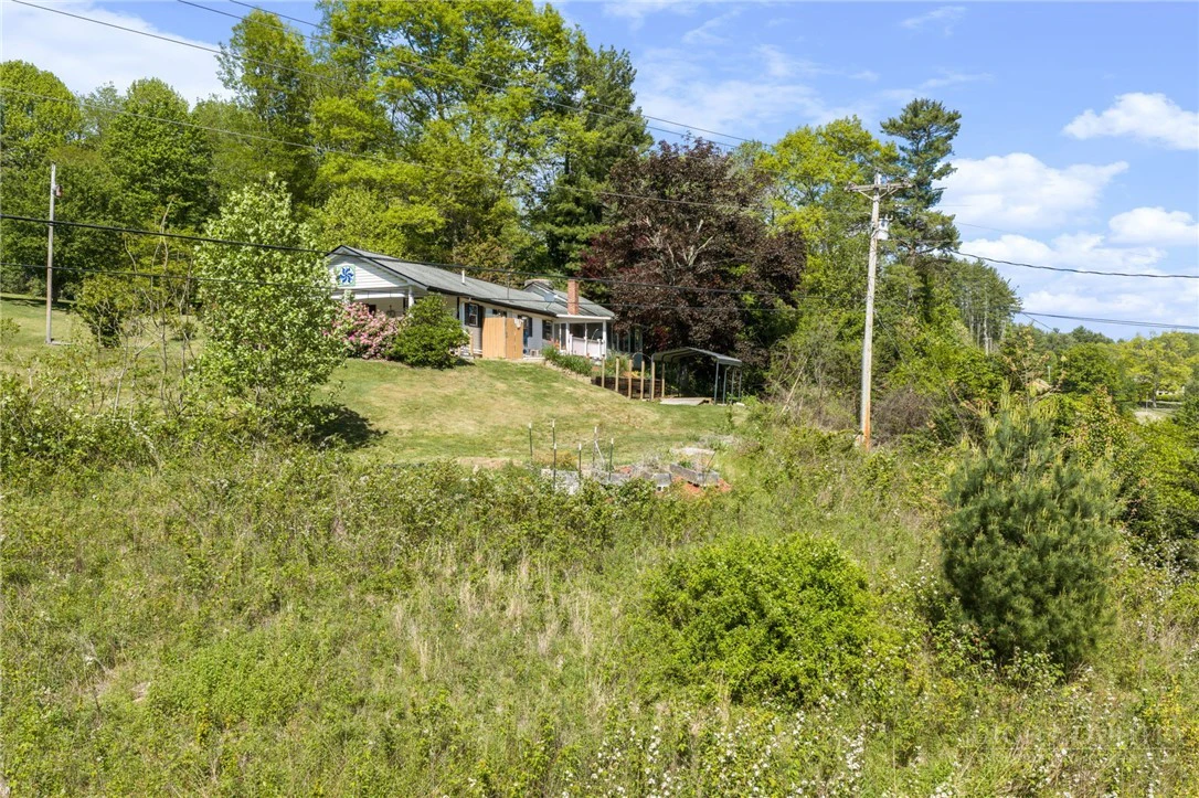 Image number 5 for the current listing