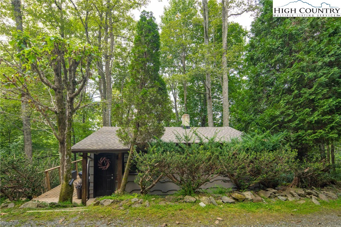 Image number 5 for the current listing