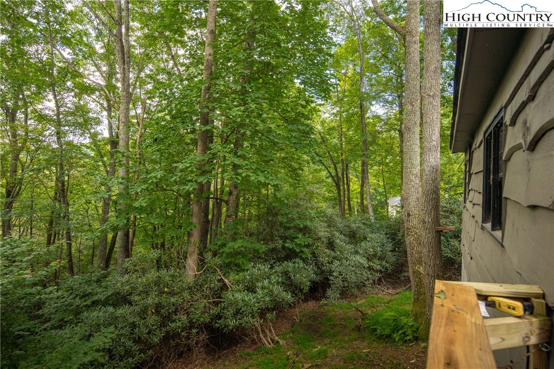 Image number 10 for the current listing