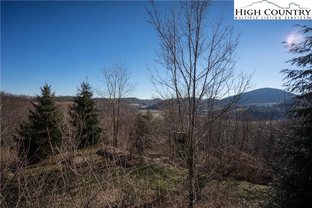 Image number 2 for the current listing