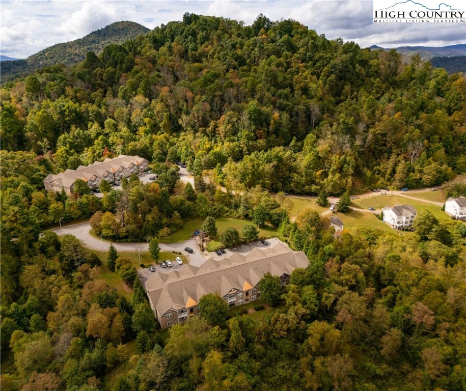 Image number 4 for the current listing