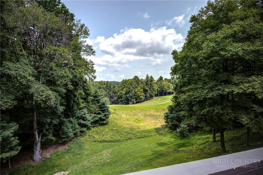 Image number 5 for the current listing