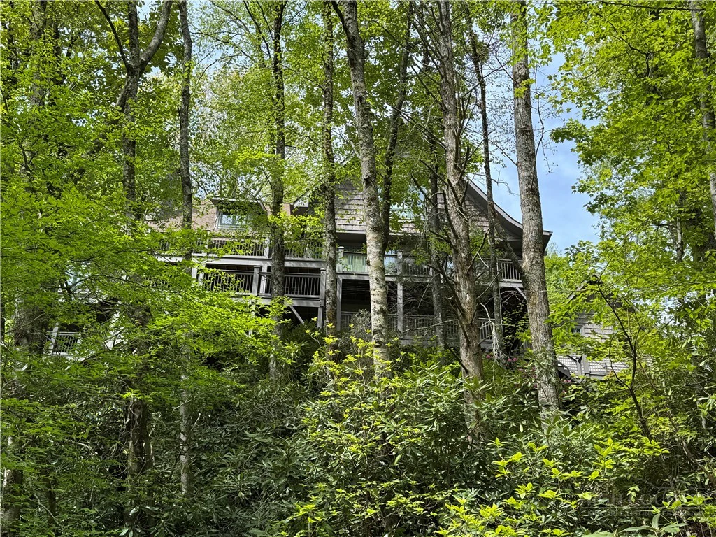 Image number 2 for the current listing