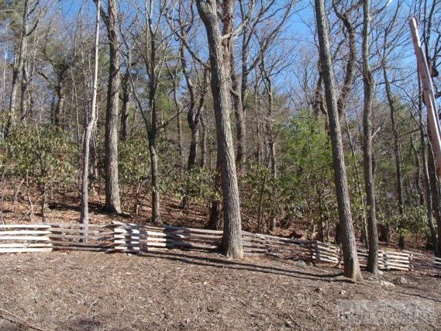 Image number 9 for the current listing