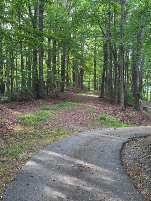 Image number 9 for the current listing