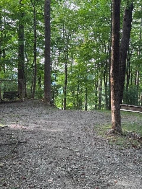 Image number 10 for the current listing