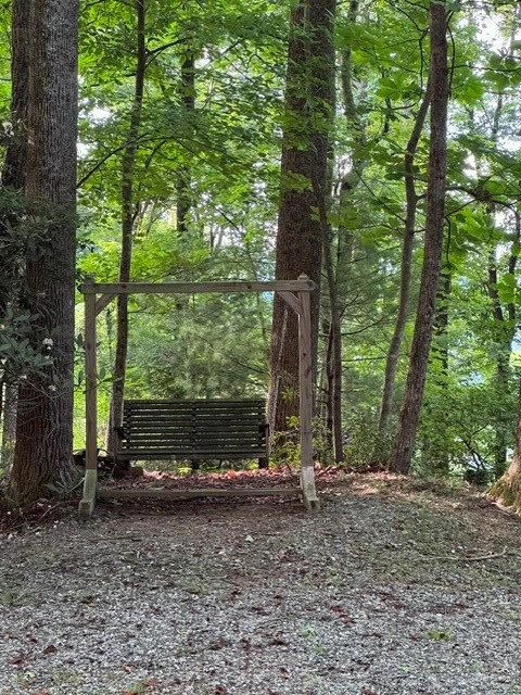 Image number 11 for the current listing