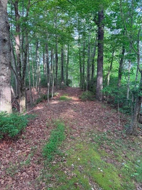 Image number 15 for the current listing
