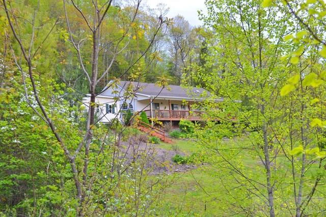 Image number 4 for the current listing