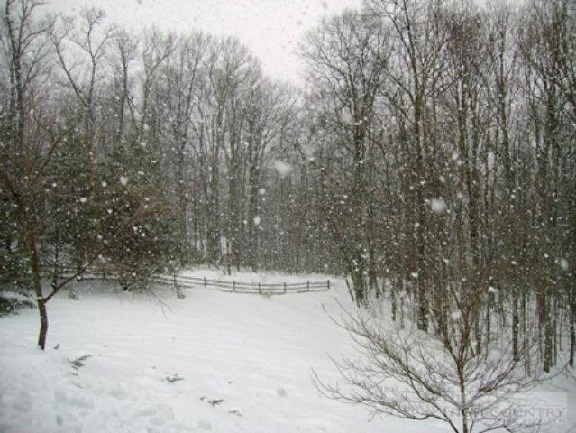Image number 4 for the current listing