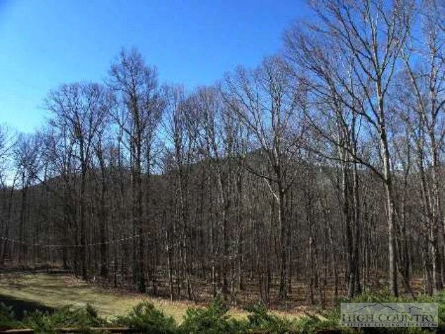 Image number 5 for the current listing