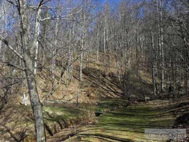 Image number 15 for the current listing