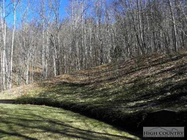 Image number 16 for the current listing