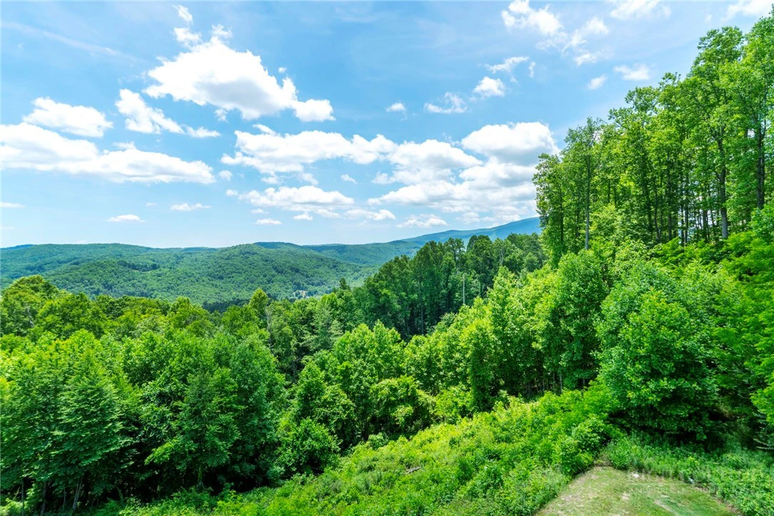 Image number 15 for the current listing