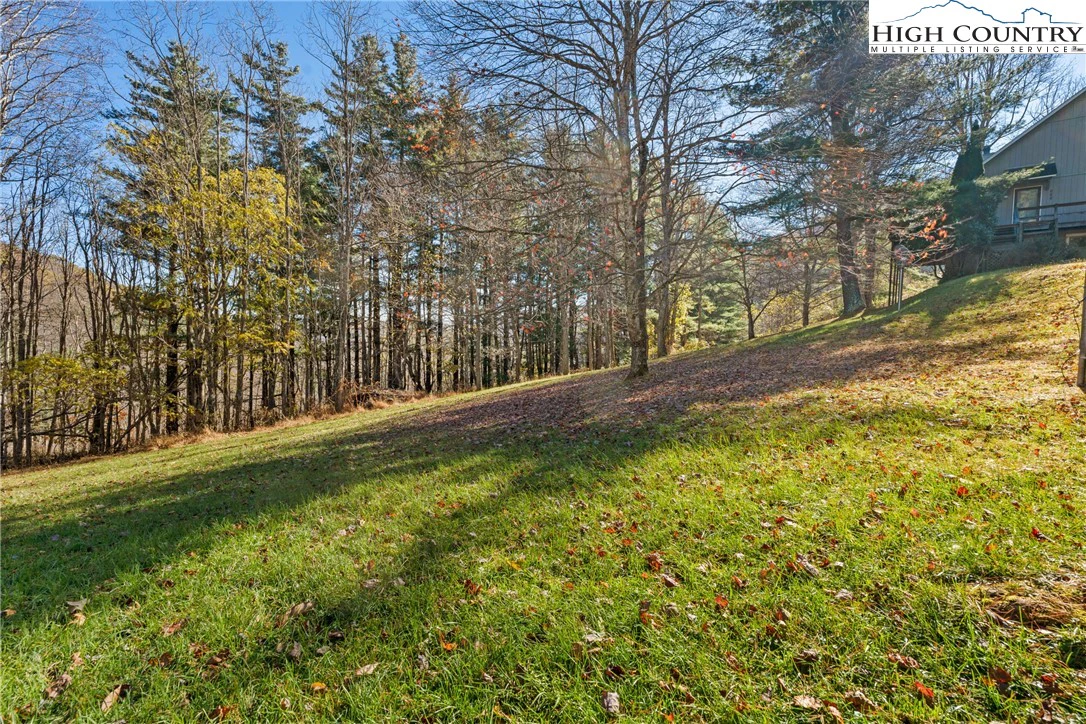 Image number 14 for the current listing