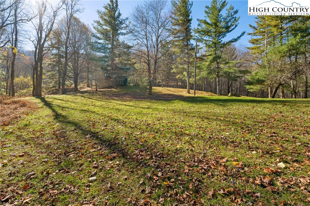 Image number 15 for the current listing