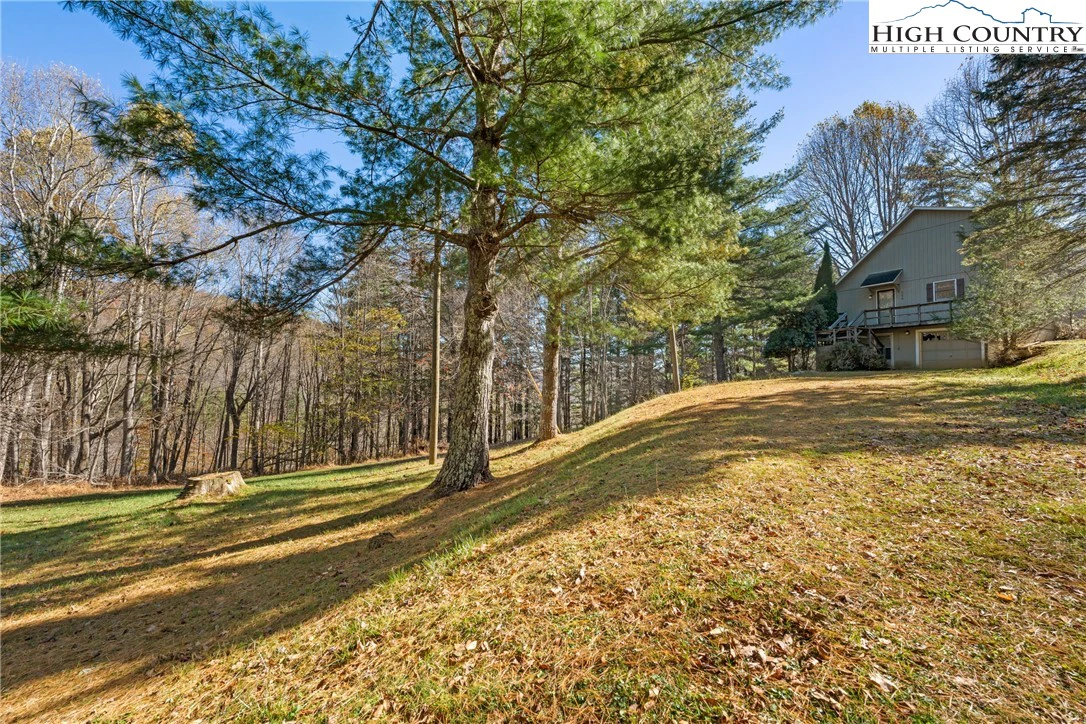 Image number 17 for the current listing