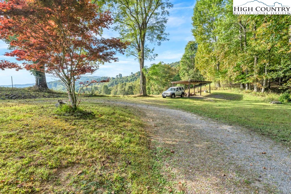 Image number 2 for the current listing