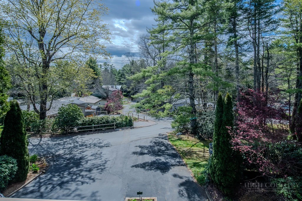 Image number 5 for the current listing