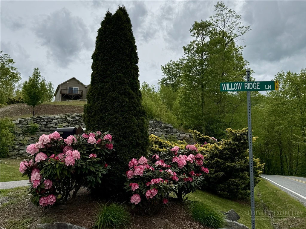 Image number 3 for the current listing