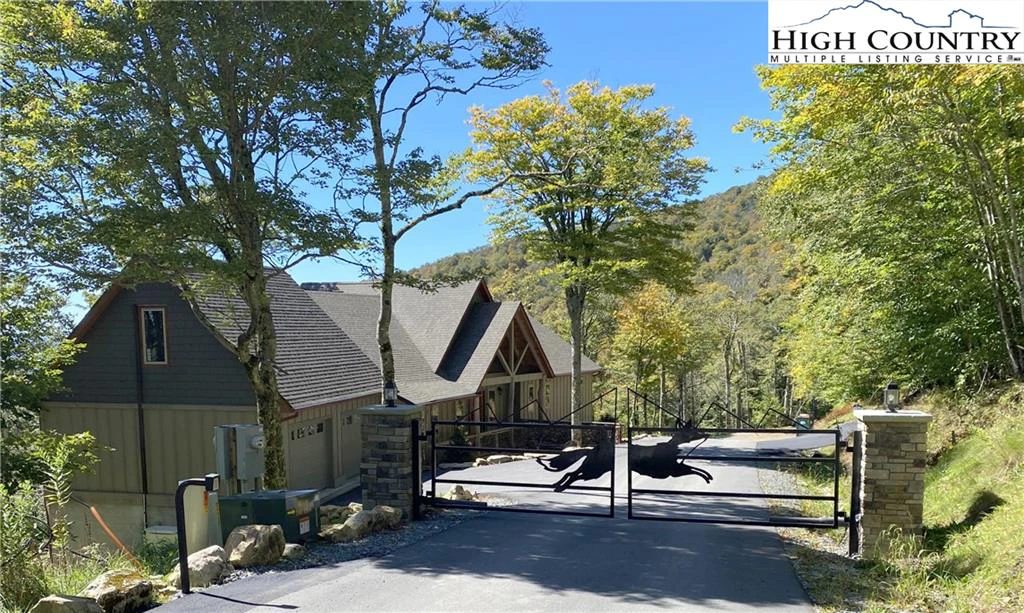 Image number 1 for the current listing