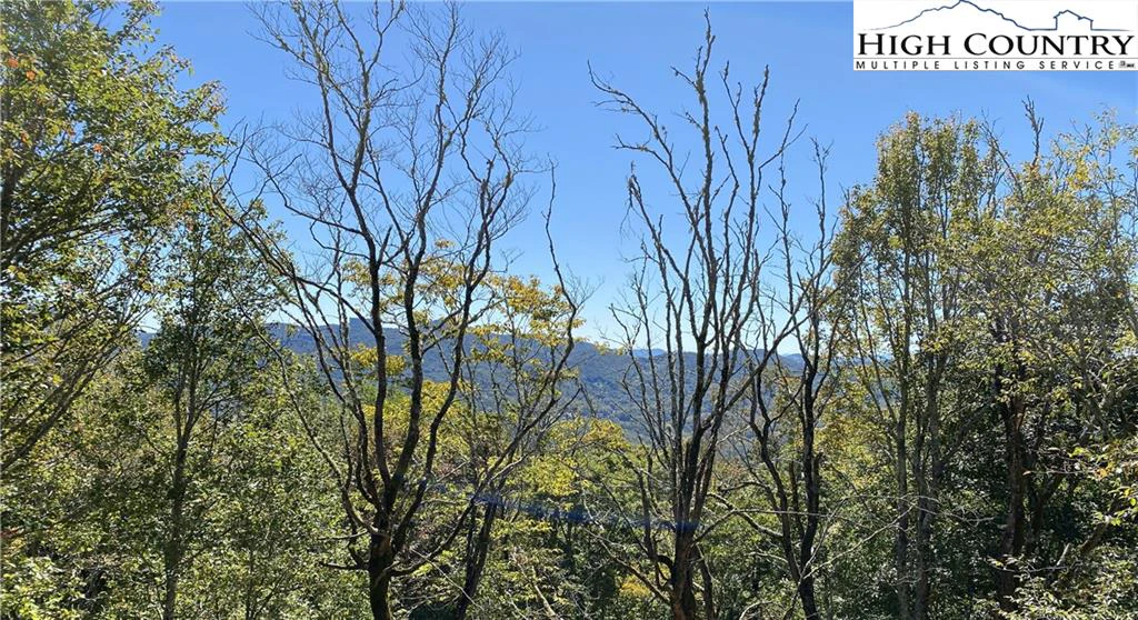 Image number 3 for the current listing