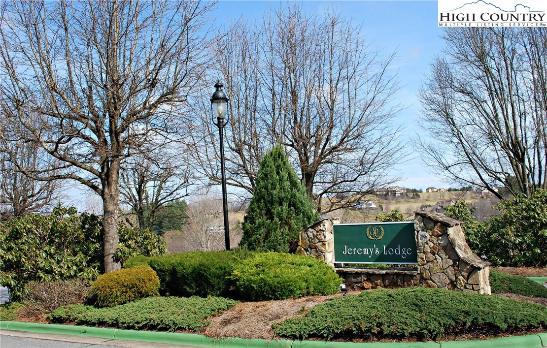 Image number 3 for the current listing