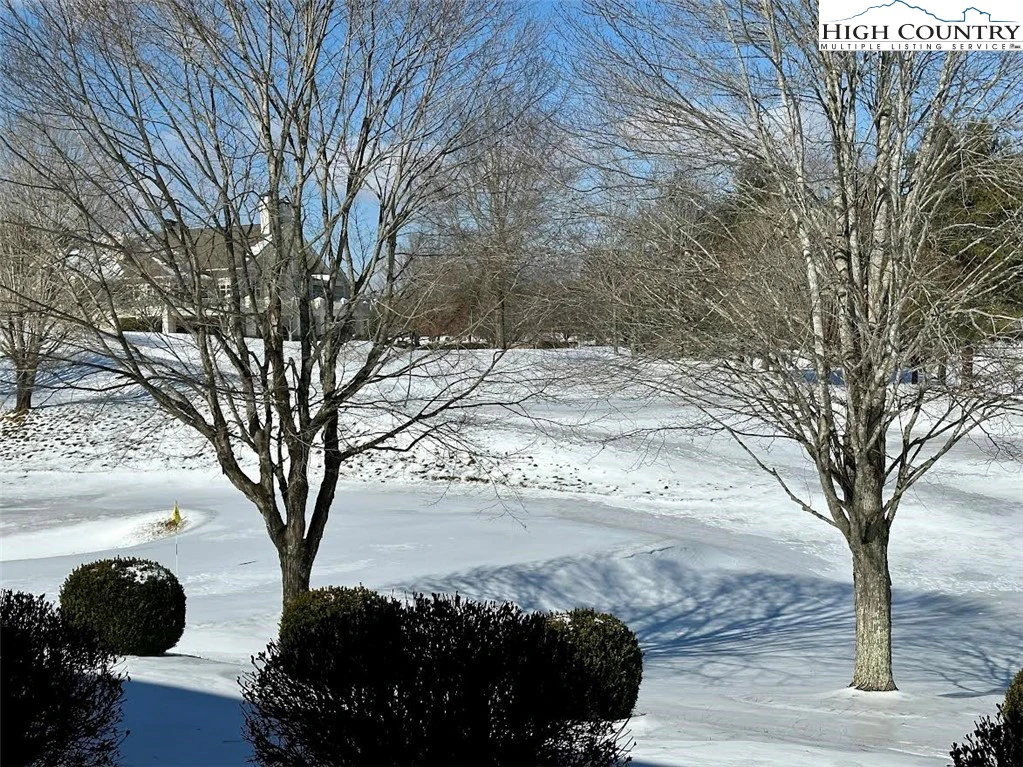 Image number 10 for the current listing
