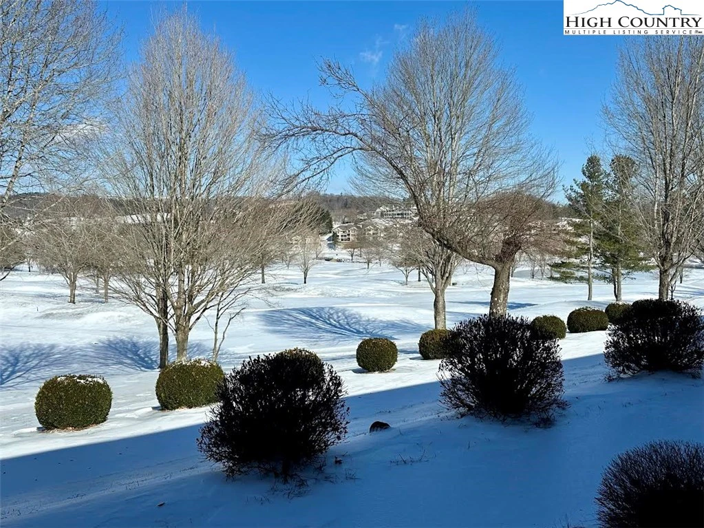Image number 11 for the current listing