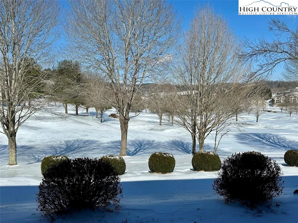Image number 12 for the current listing