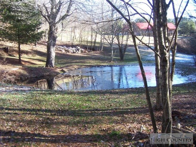 Image number 4 for the current listing