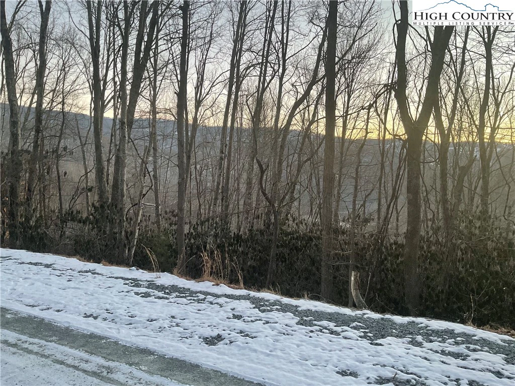 Image number 1 for the current listing