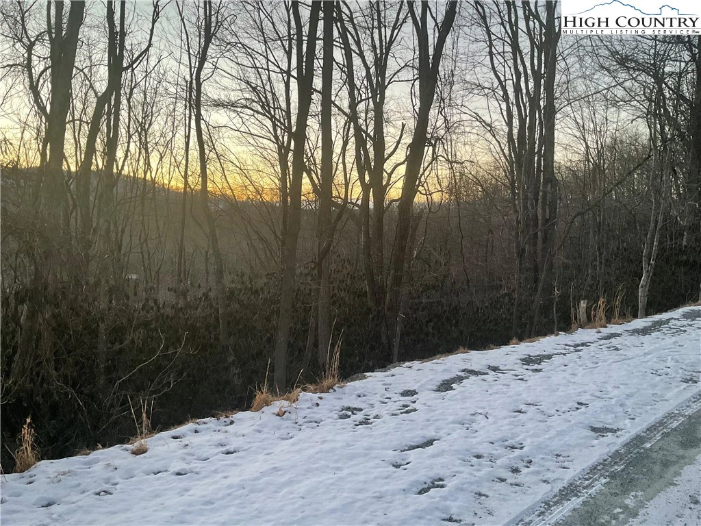 Image number 3 for the current listing