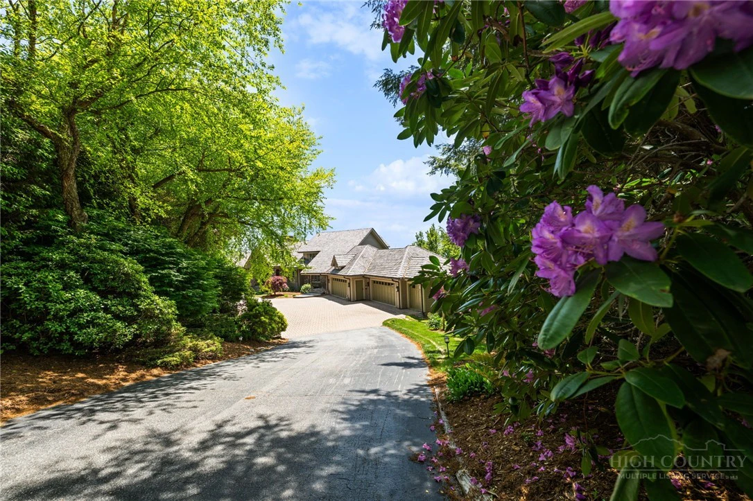Image number 21 for the current listing
