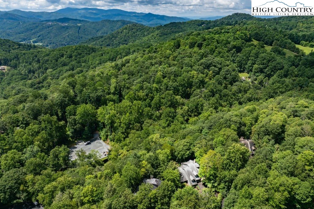 Image number 7 for the current listing