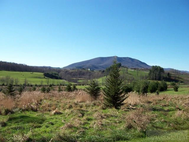Image number 17 for the current listing
