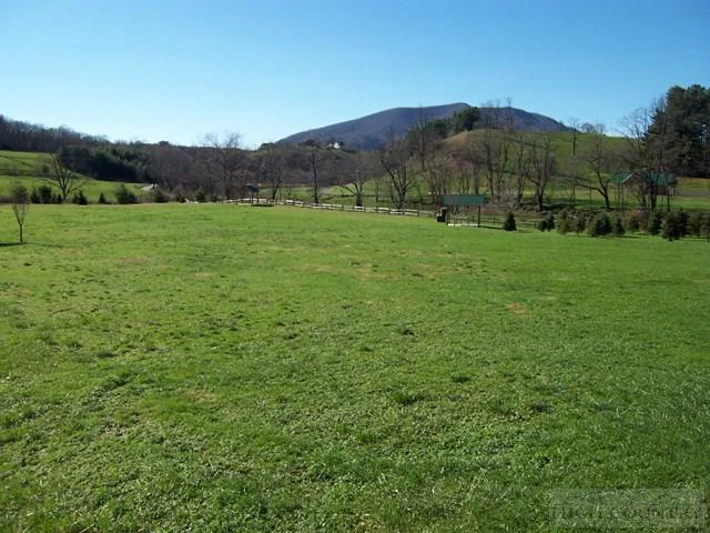 Image number 16 for the current listing