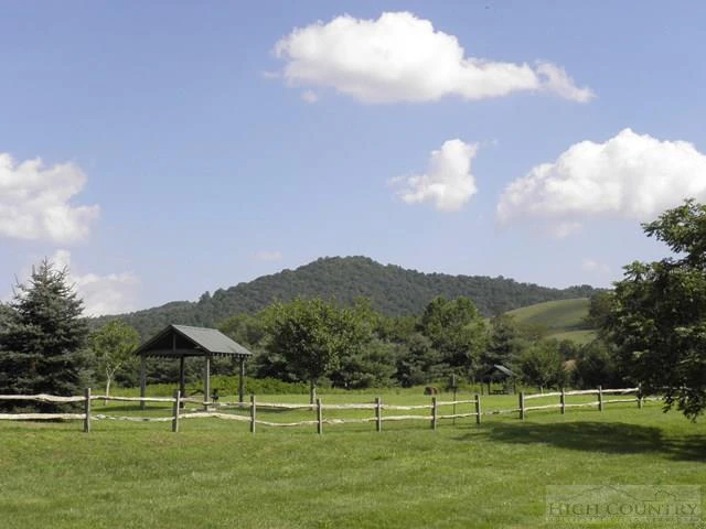 Image number 12 for the current listing