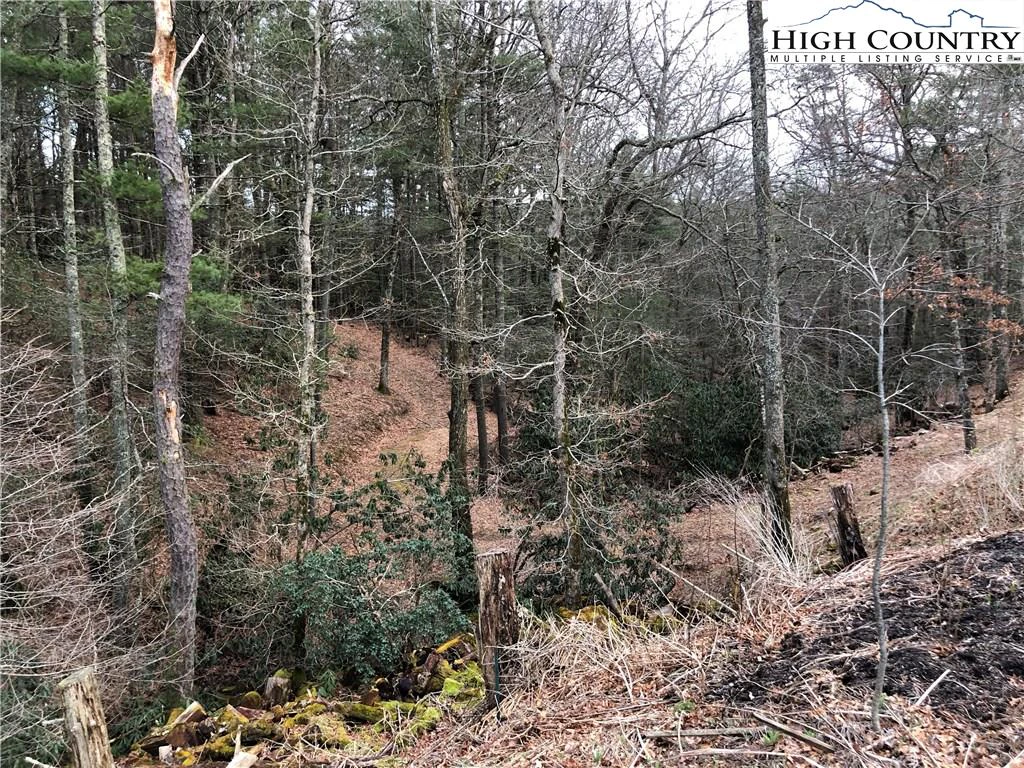 Image number 18 for the current listing