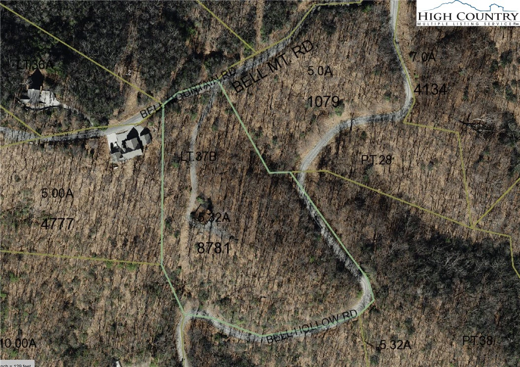 Image number 1 for the current listing