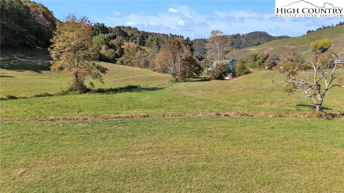 Image number 2 for the current listing