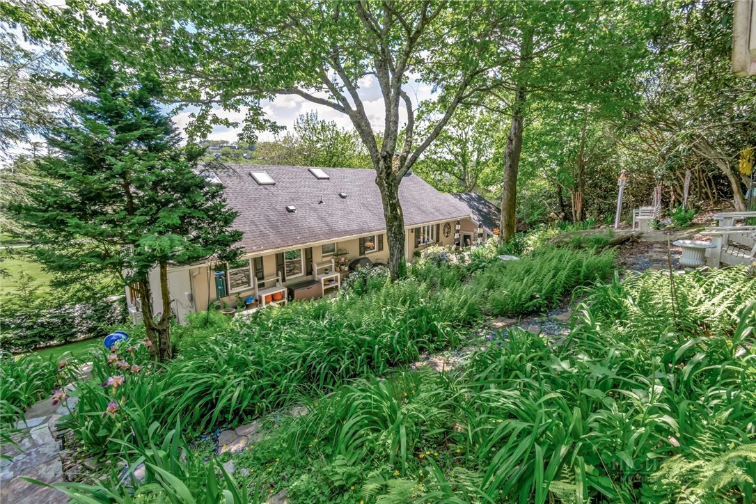 Image number 12 for the current listing