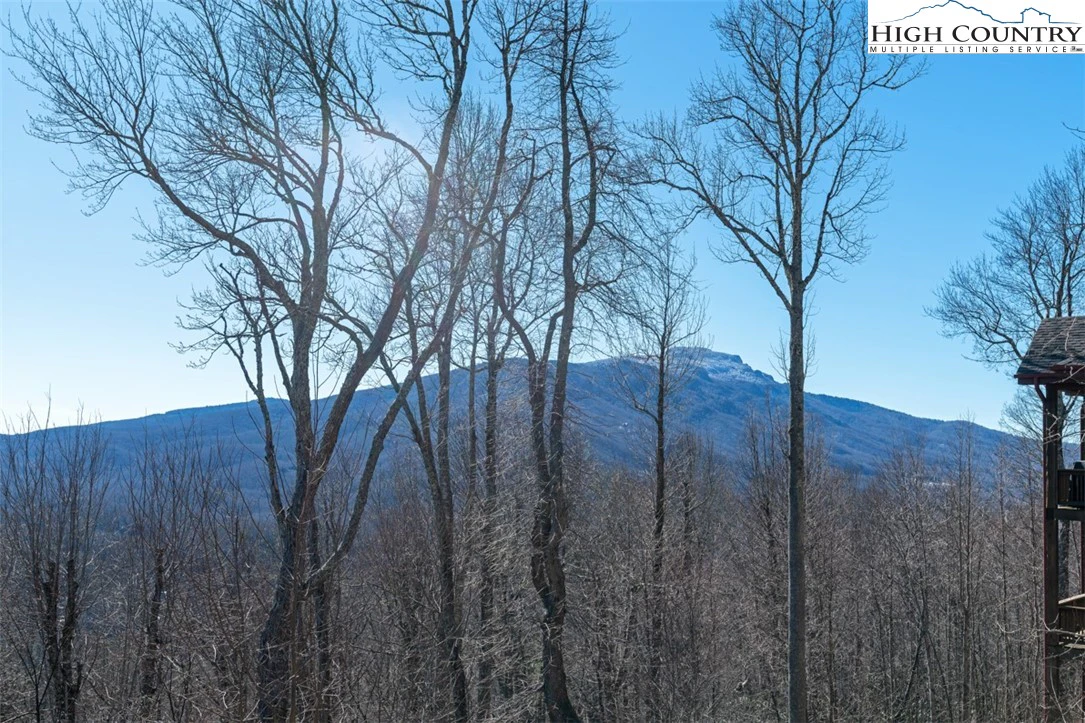 Image number 17 for the current listing